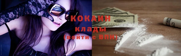 шишки Балахна