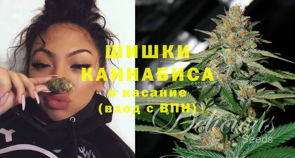шишки Балахна