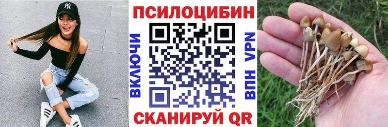 KRAKEN ссылка  Богородицк  Галлюциногенные грибы ЛСД 
